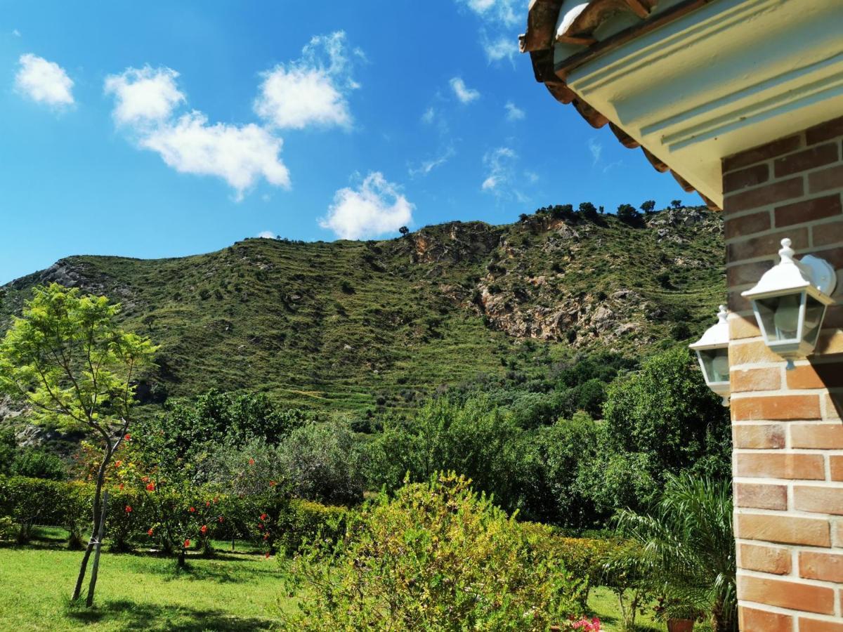 Vila Il Mandorlo Amantea Exteriér fotografie