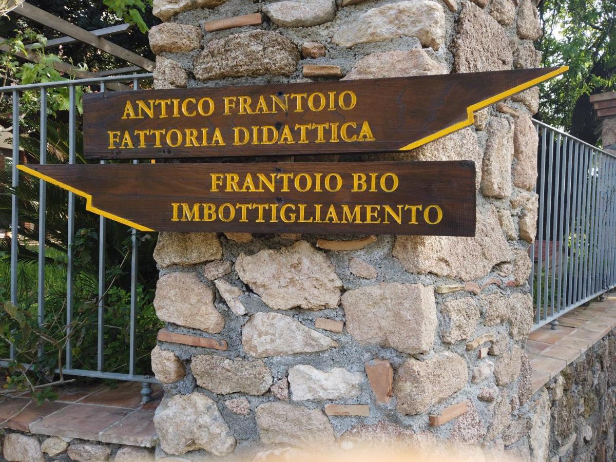 Vila Il Mandorlo Amantea Exteriér fotografie