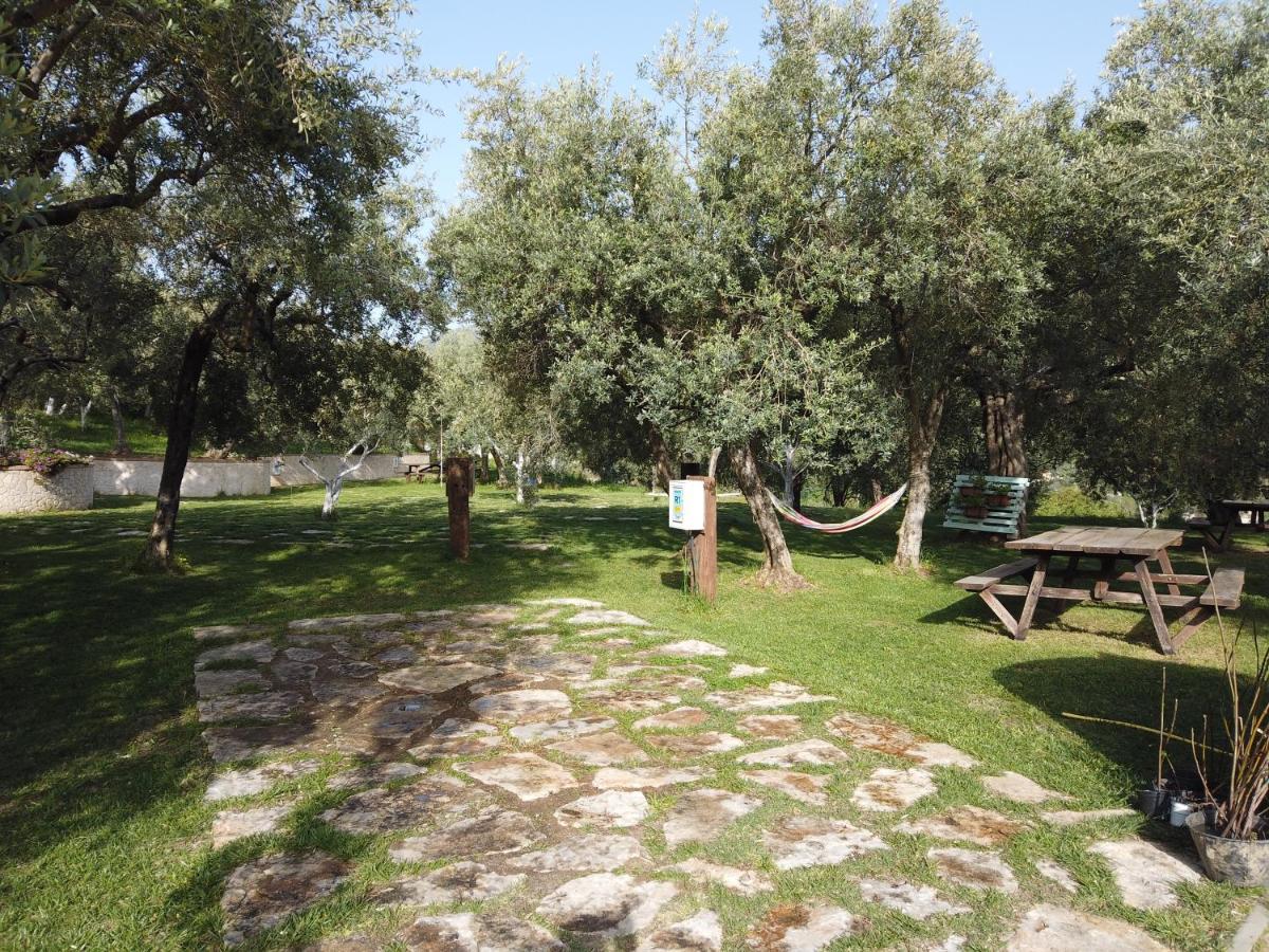 Vila Il Mandorlo Amantea Exteriér fotografie