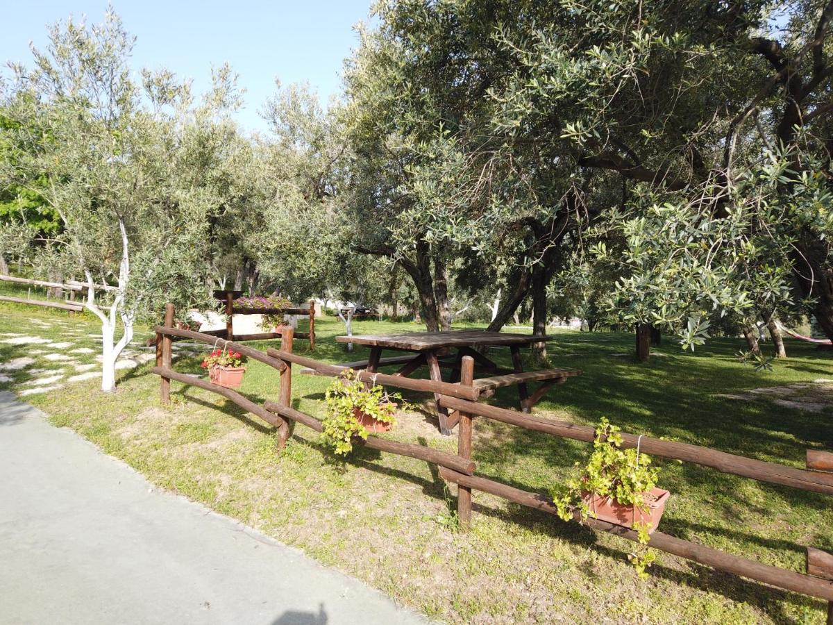 Vila Il Mandorlo Amantea Exteriér fotografie