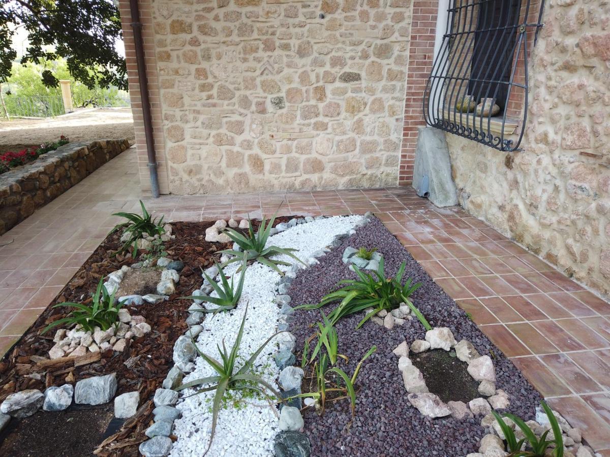 Vila Il Mandorlo Amantea Exteriér fotografie