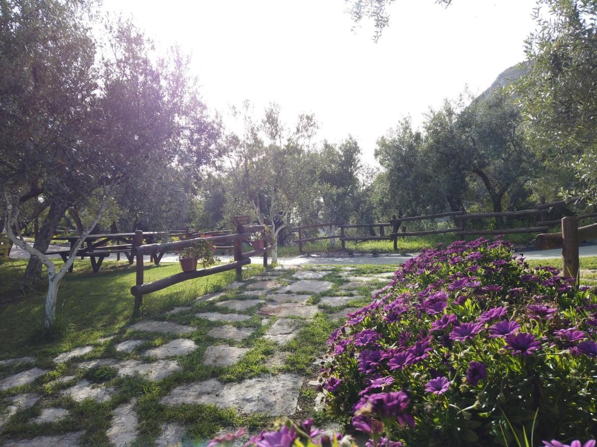 Vila Il Mandorlo Amantea Exteriér fotografie