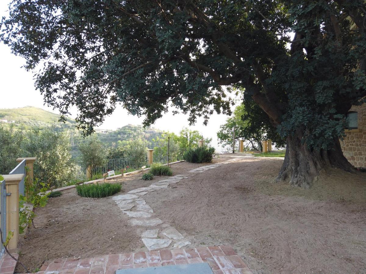 Vila Il Mandorlo Amantea Exteriér fotografie