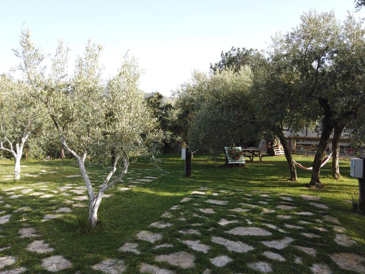 Vila Il Mandorlo Amantea Exteriér fotografie