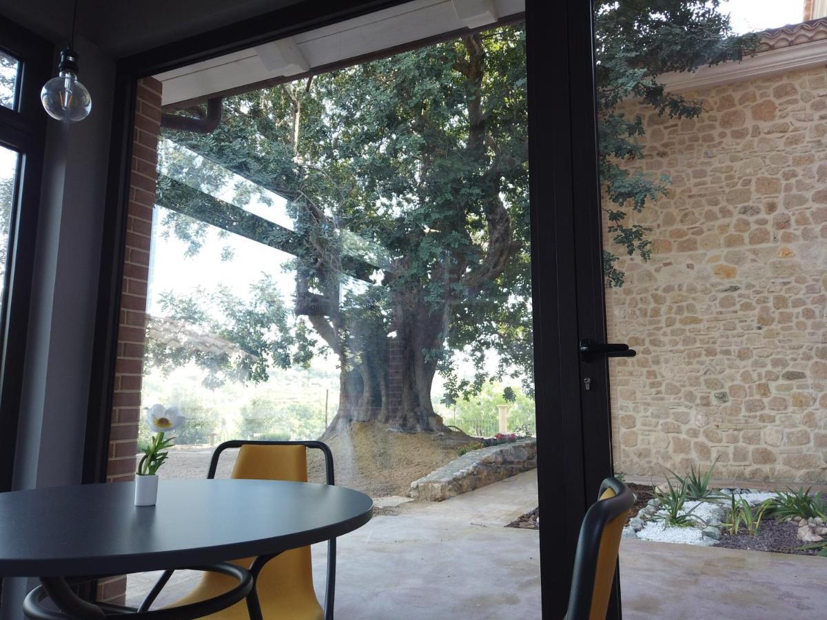 Vila Il Mandorlo Amantea Exteriér fotografie