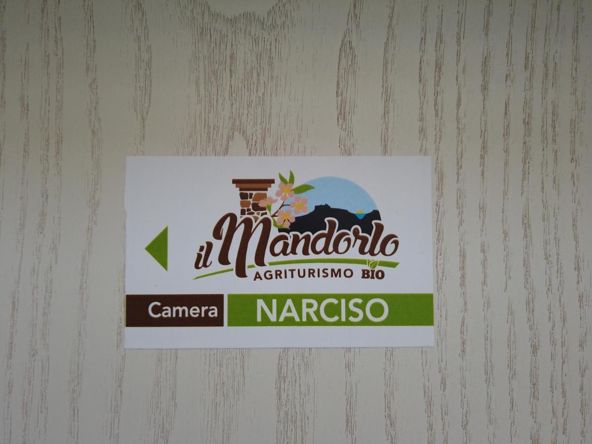 Vila Il Mandorlo Amantea Exteriér fotografie